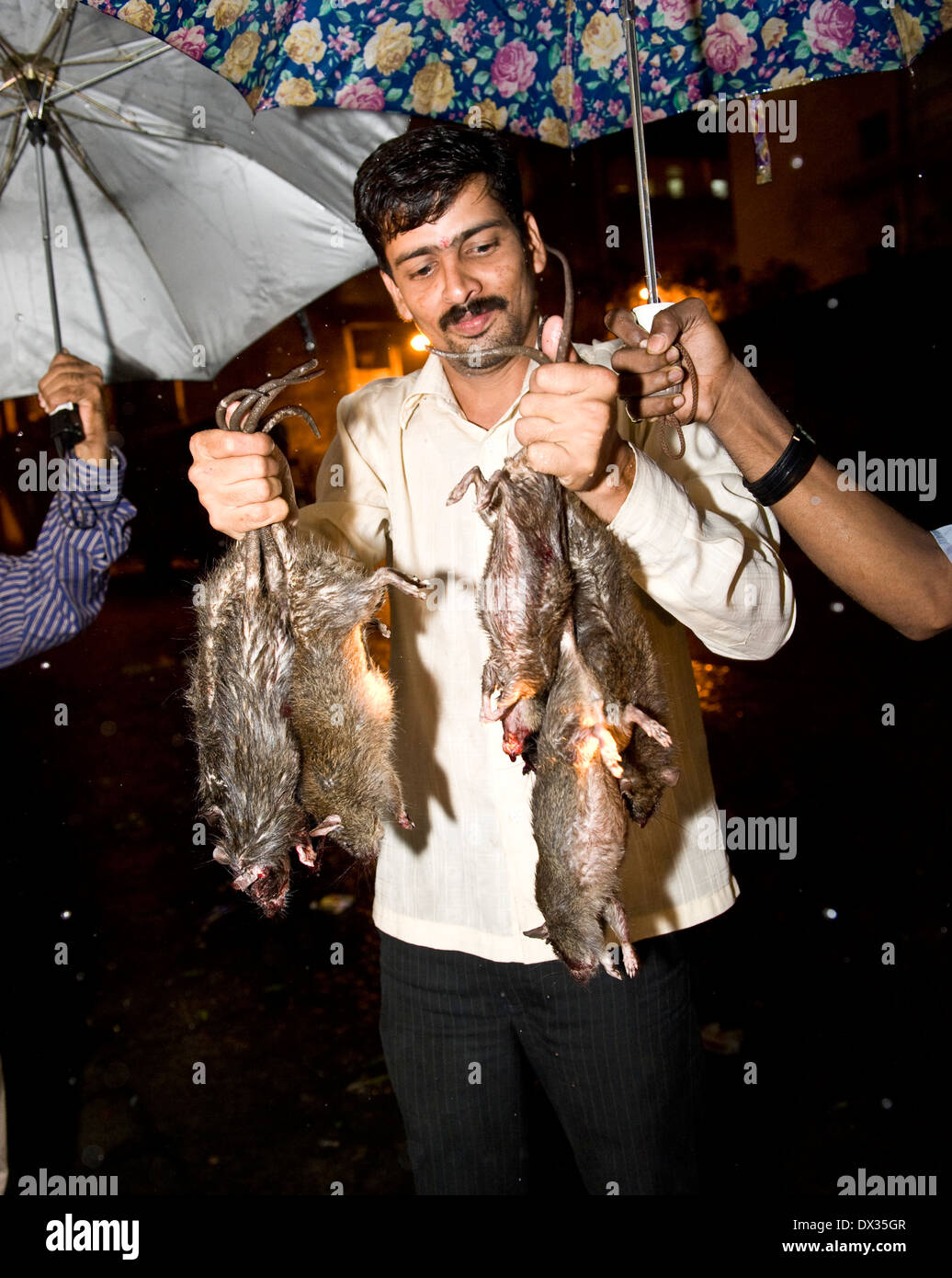 Ratcatchers hi-res stock photography and images - Alamy