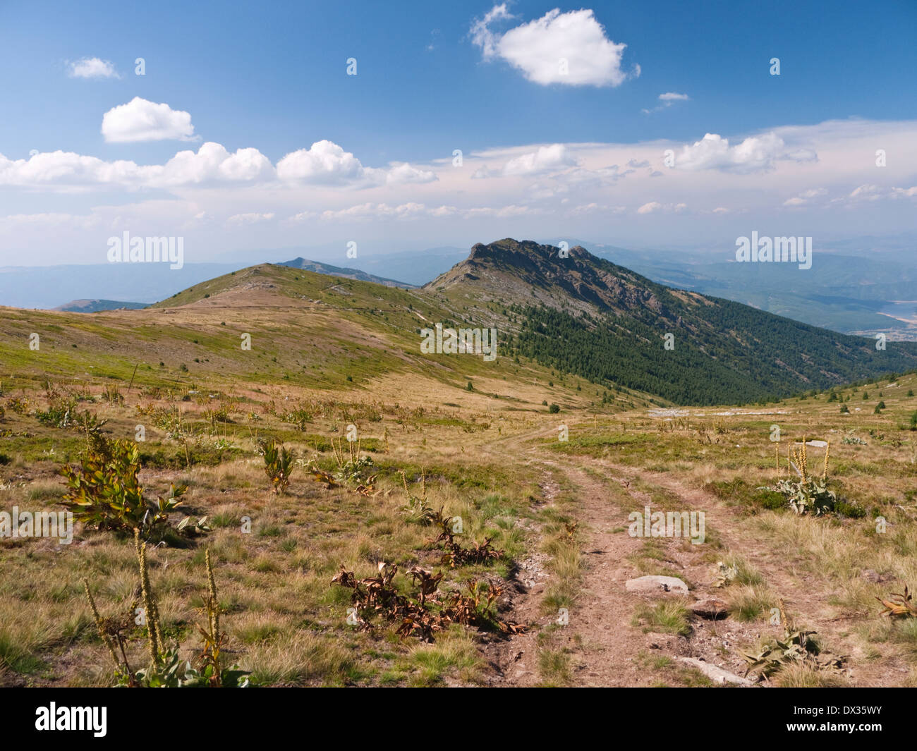 Kozji Kamen (Goat Rocks) near the peak of Pelister on Baba Mountain - Pelister National Park, Republic of Macedonia Stock Photo