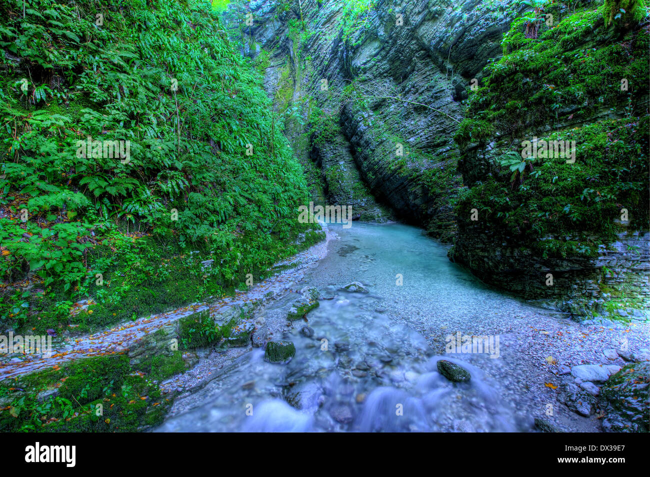Emerald creek in narrow canyon Stock Photo Alamy