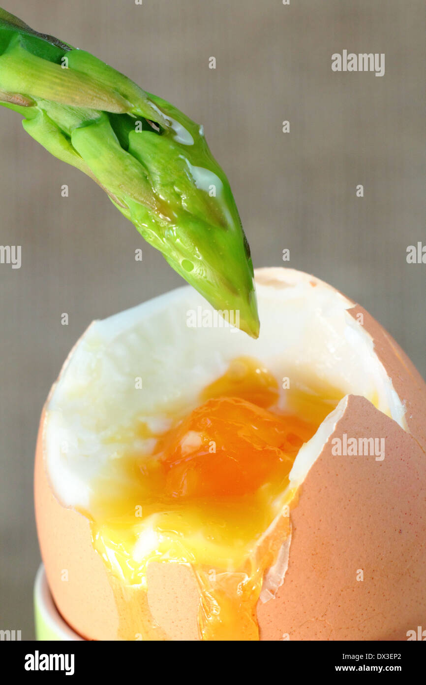 Lightly blanched fresh green asparagus spear dipped into soft boiled egg yolk, - neutral background. UK Stock Photo