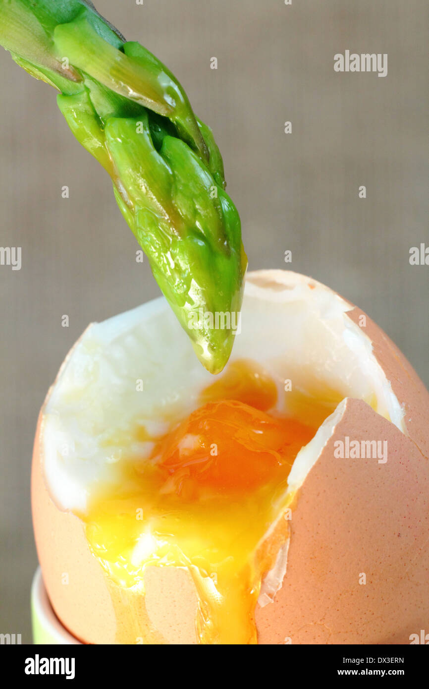 Lightly blanched fresh asparagus spear dipped into soft boiled egg yolk, - neutral background. UK Stock Photo
