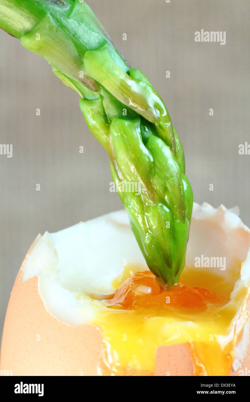 Lightly blanched fresh green asparagus spear dipped into soft boiled