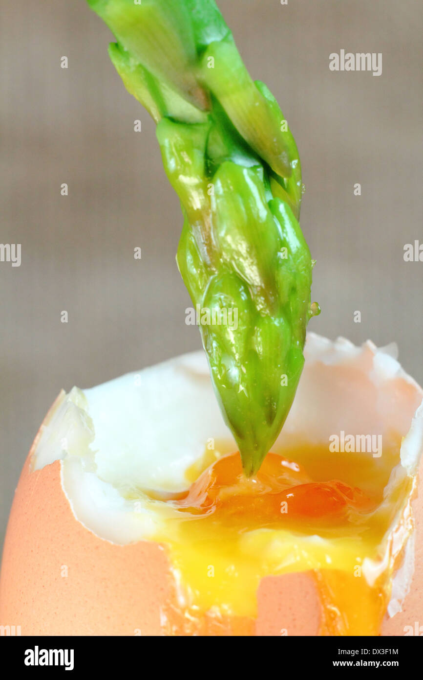 Lightly blanched fresh green asparagus spear dipped into soft boiled