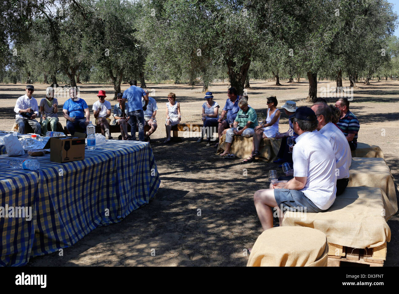 Group of tourists having an Al Fresco lunch in an Olive Grove Stock Photo