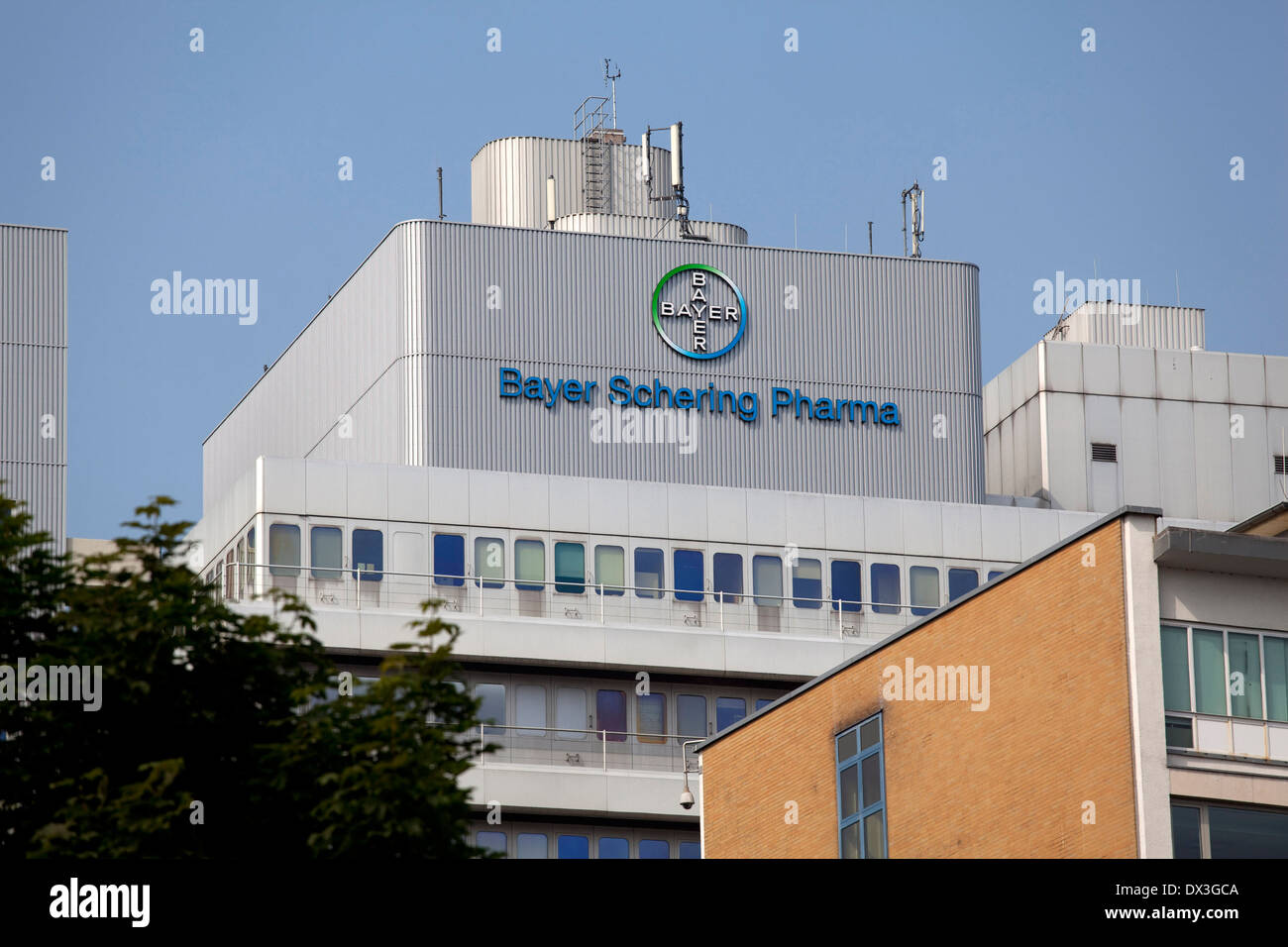 schering bayer schering bayer