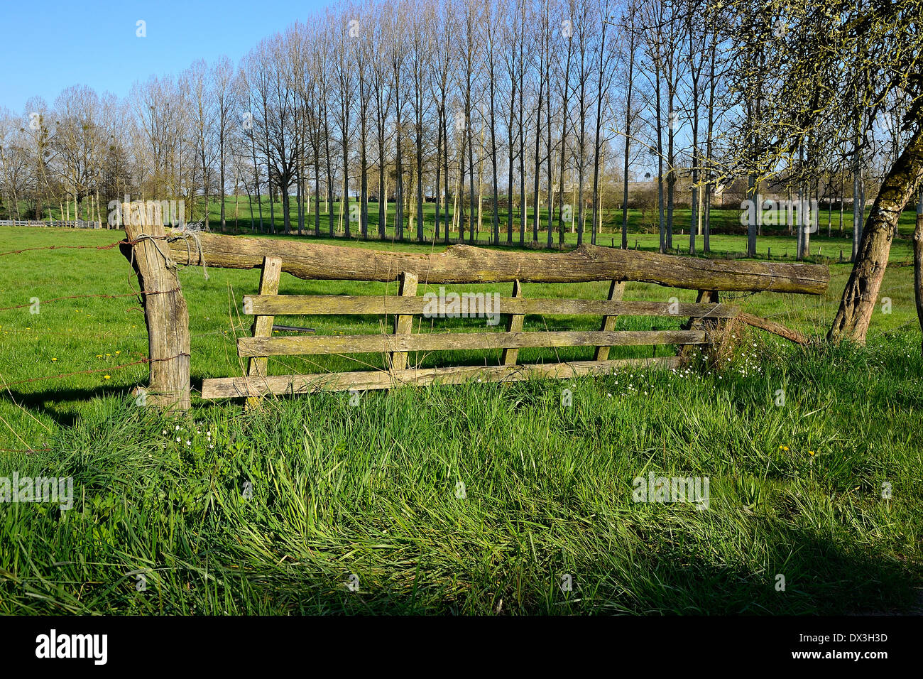 Old wooden fence, meadow, northen Mayenne (Pays de la Loire, France). Stock Photo