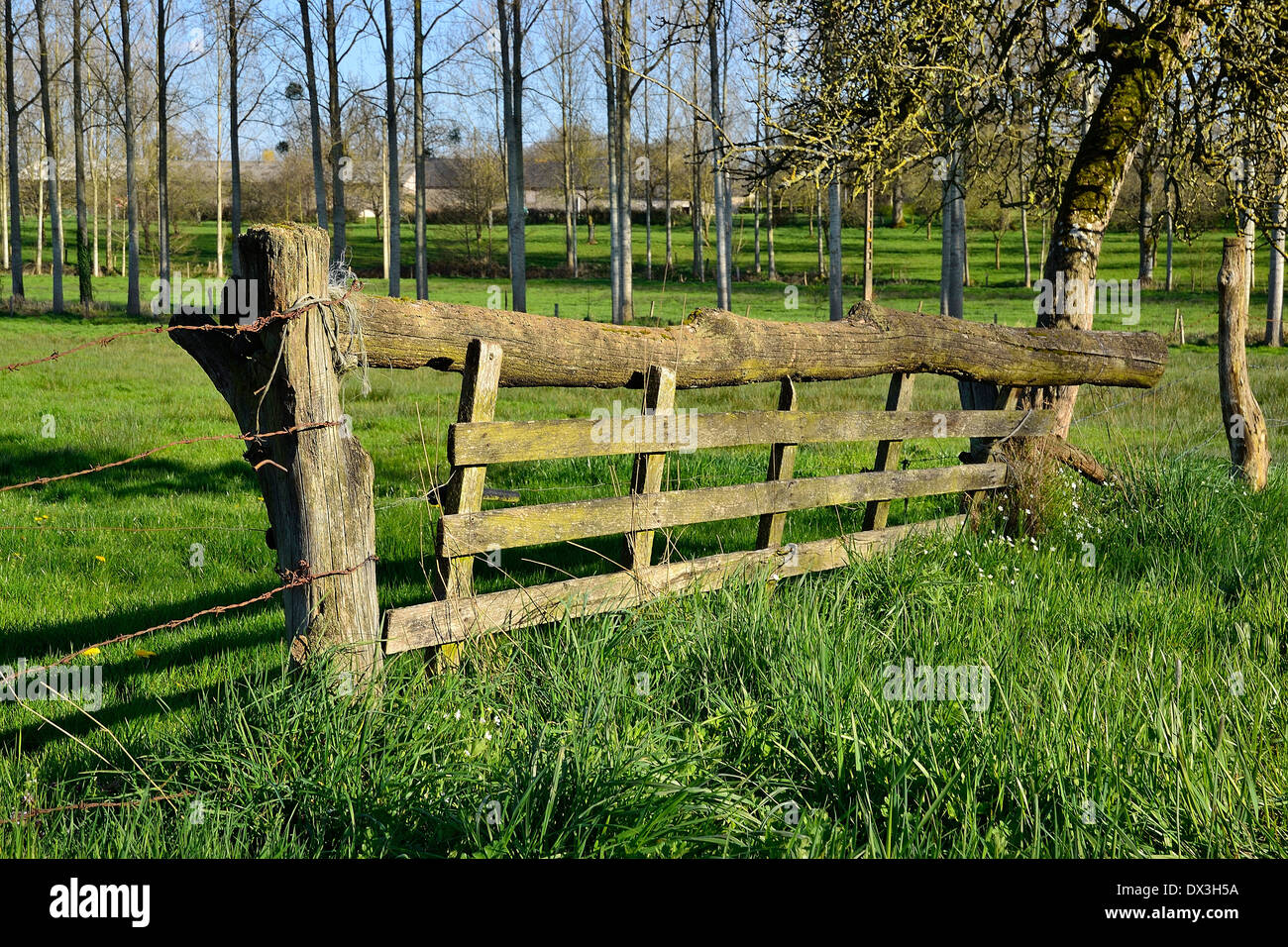 Old wooden fence, meadow, northen Mayenne (Pays de la Loire, France). Stock Photo