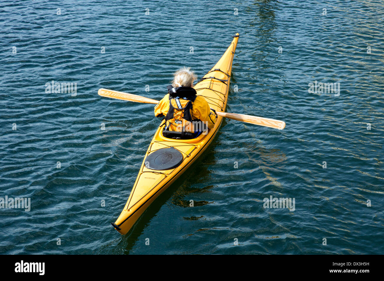Canoe being paddled Stock Photo Alamy