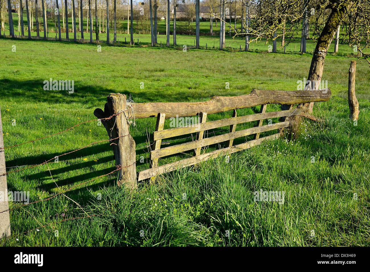 Old wooden fence, meadow, northen Mayenne (Pays de la Loire, France). Stock Photo