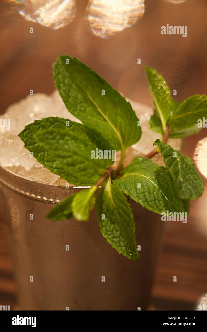 Mint sprig in mint julep in silver cup, close up, high angle view Stock Photo