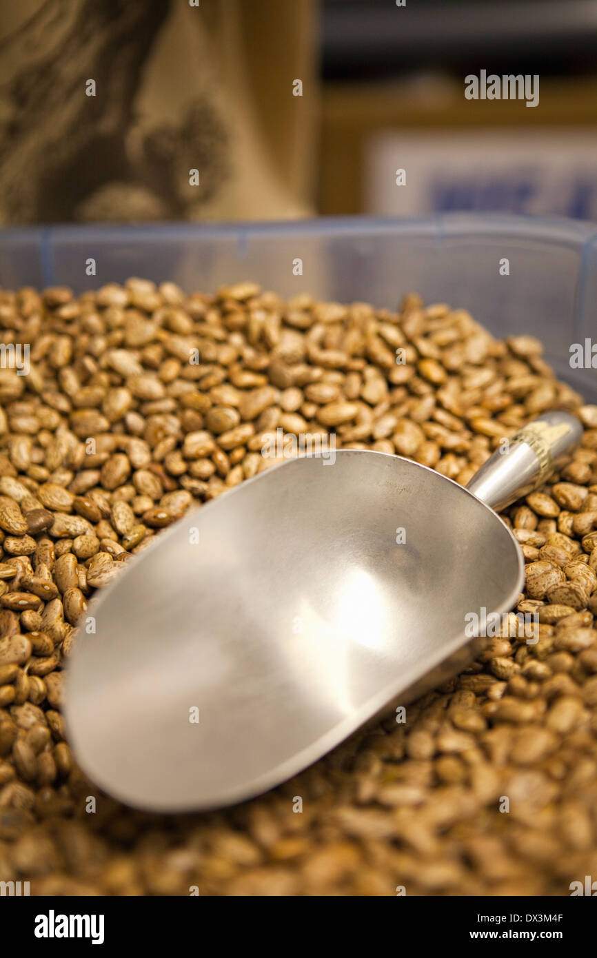 Abundance of dried beans and scoop in bin, close up Stock Photo