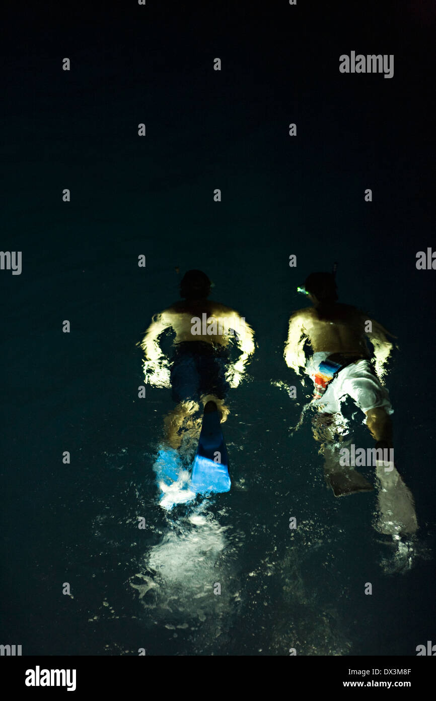 Boys with flippers snorkeling in illuminated water at night, high angle view Stock Photo