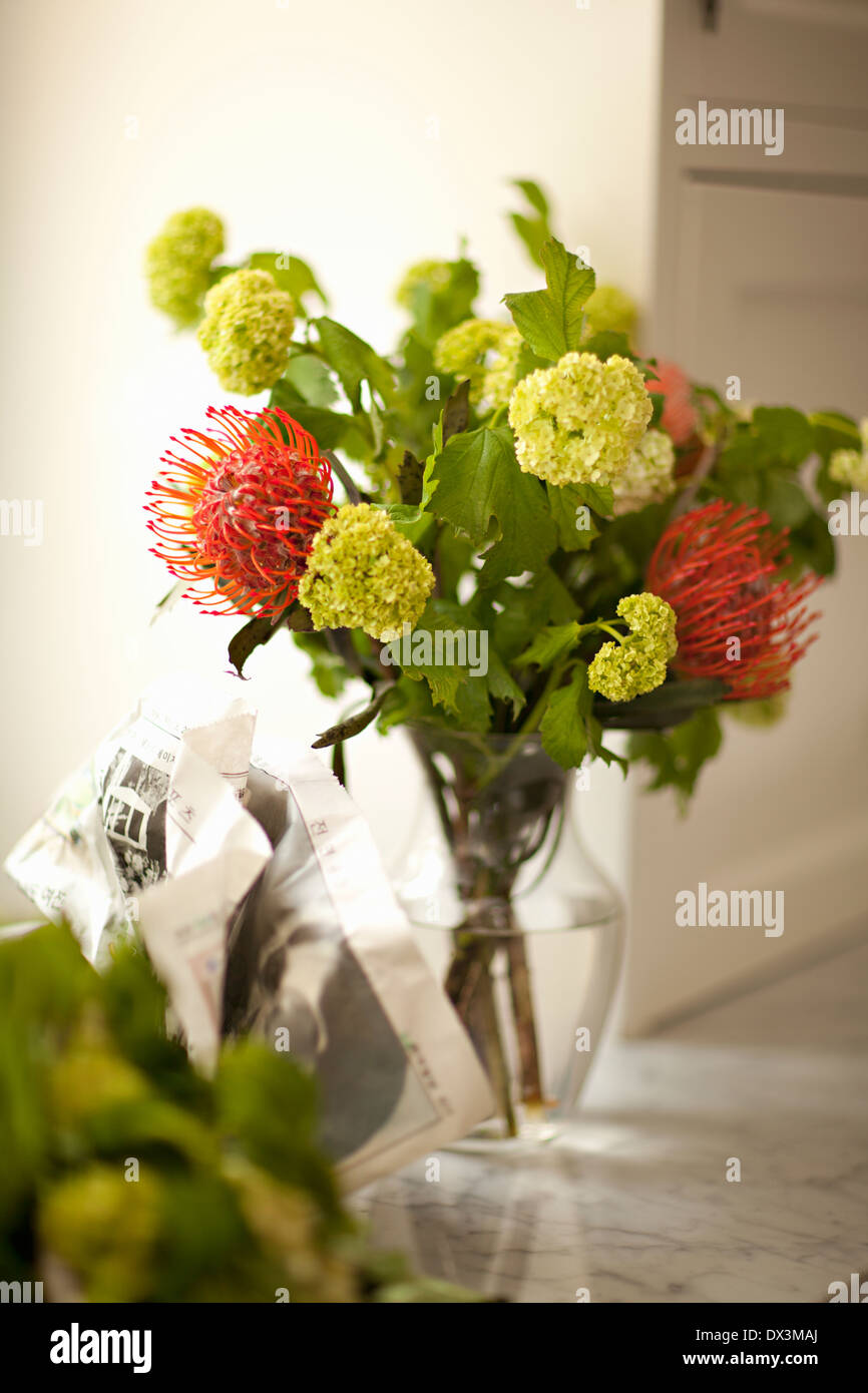 Spider mums and green viburnum flower bouquet in vase on counter Stock Photo