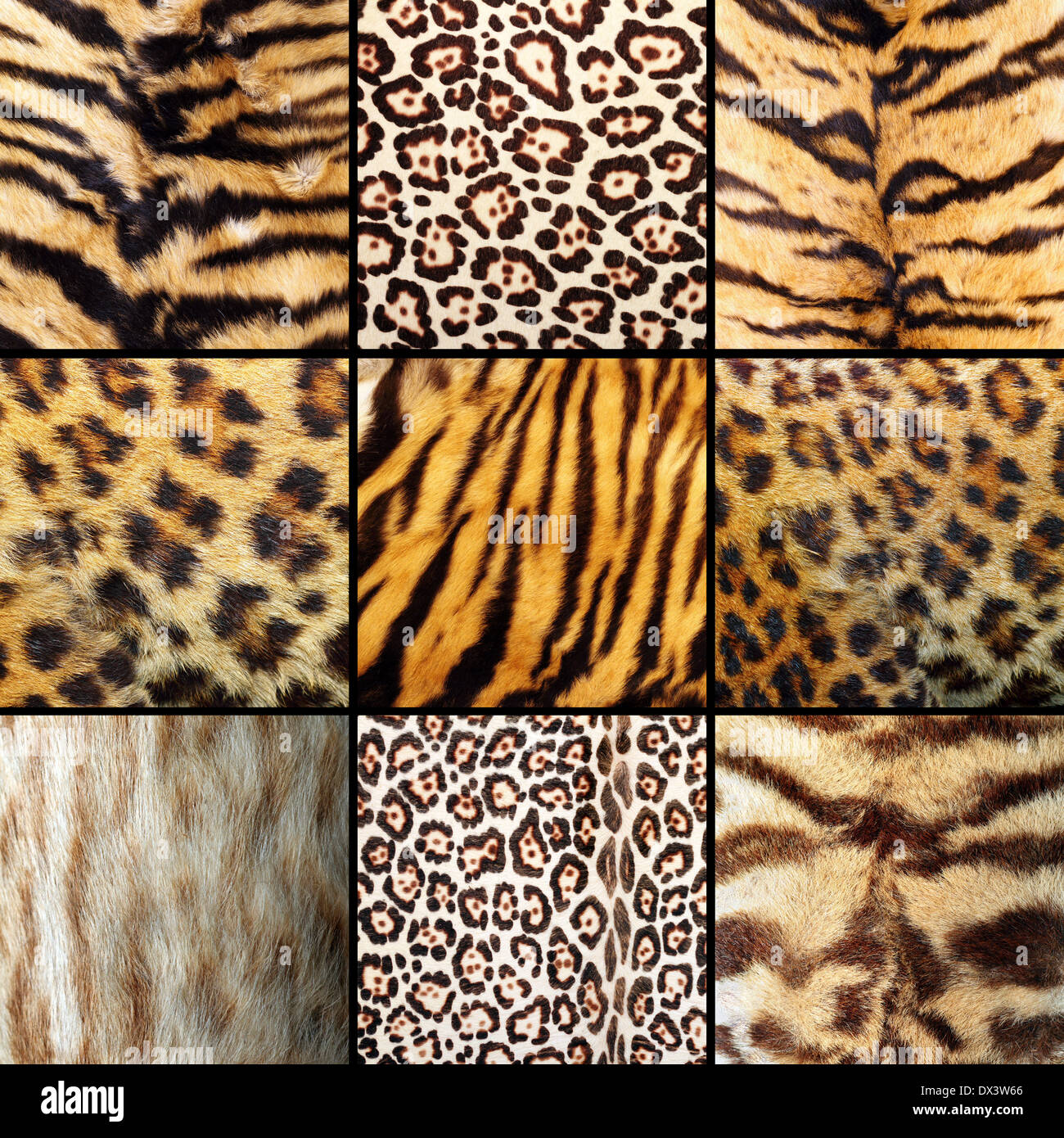 Fur collection hires stock photography and images Alamy