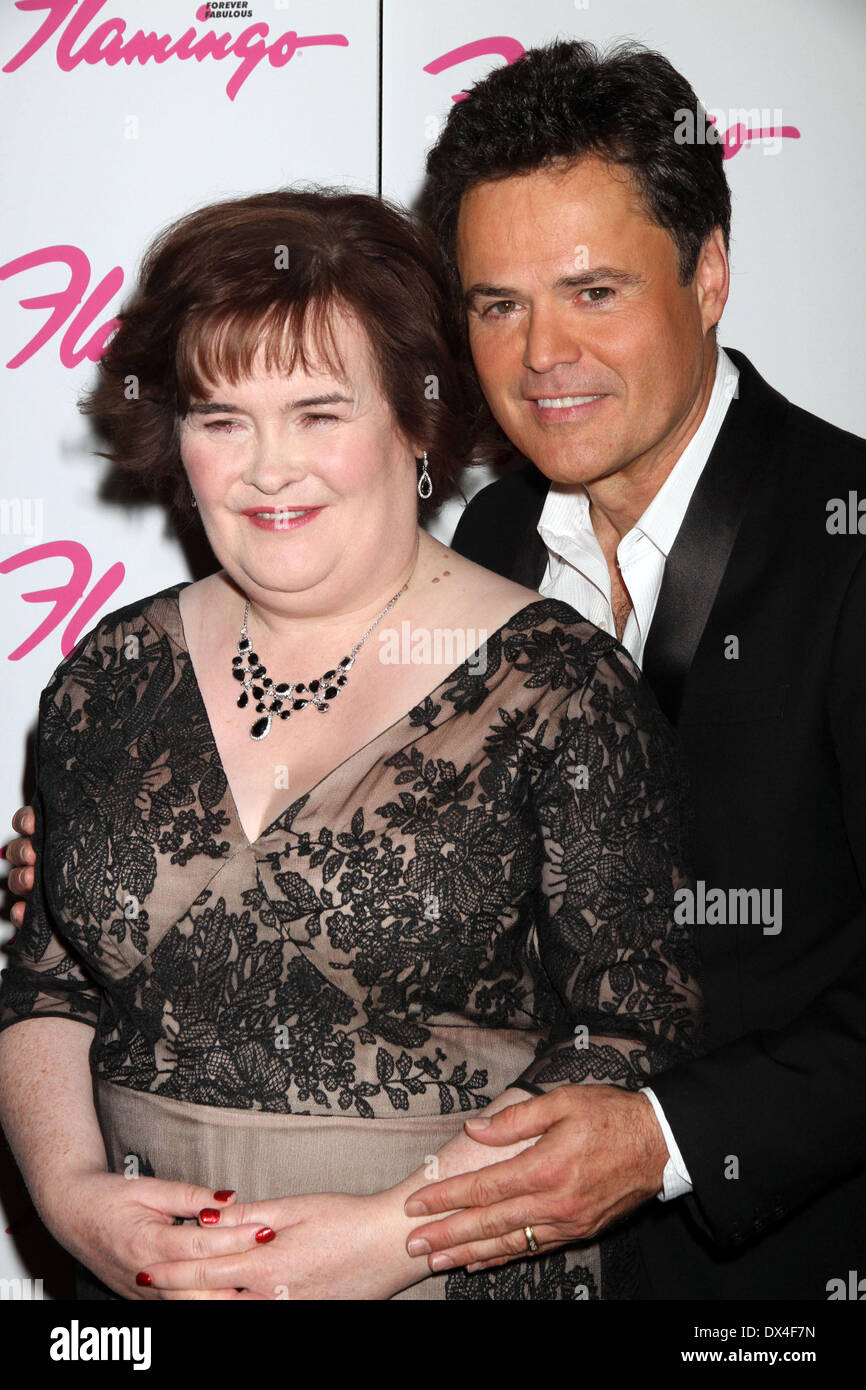 Sitemapcdatahttpsshopinf Inetcommariage Susan Boyle Et Son Mari