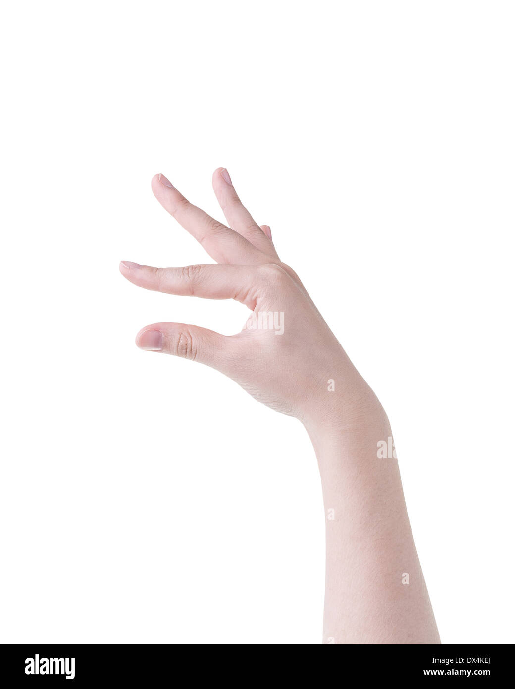 woman hand showing empty space for your product Stock Photo