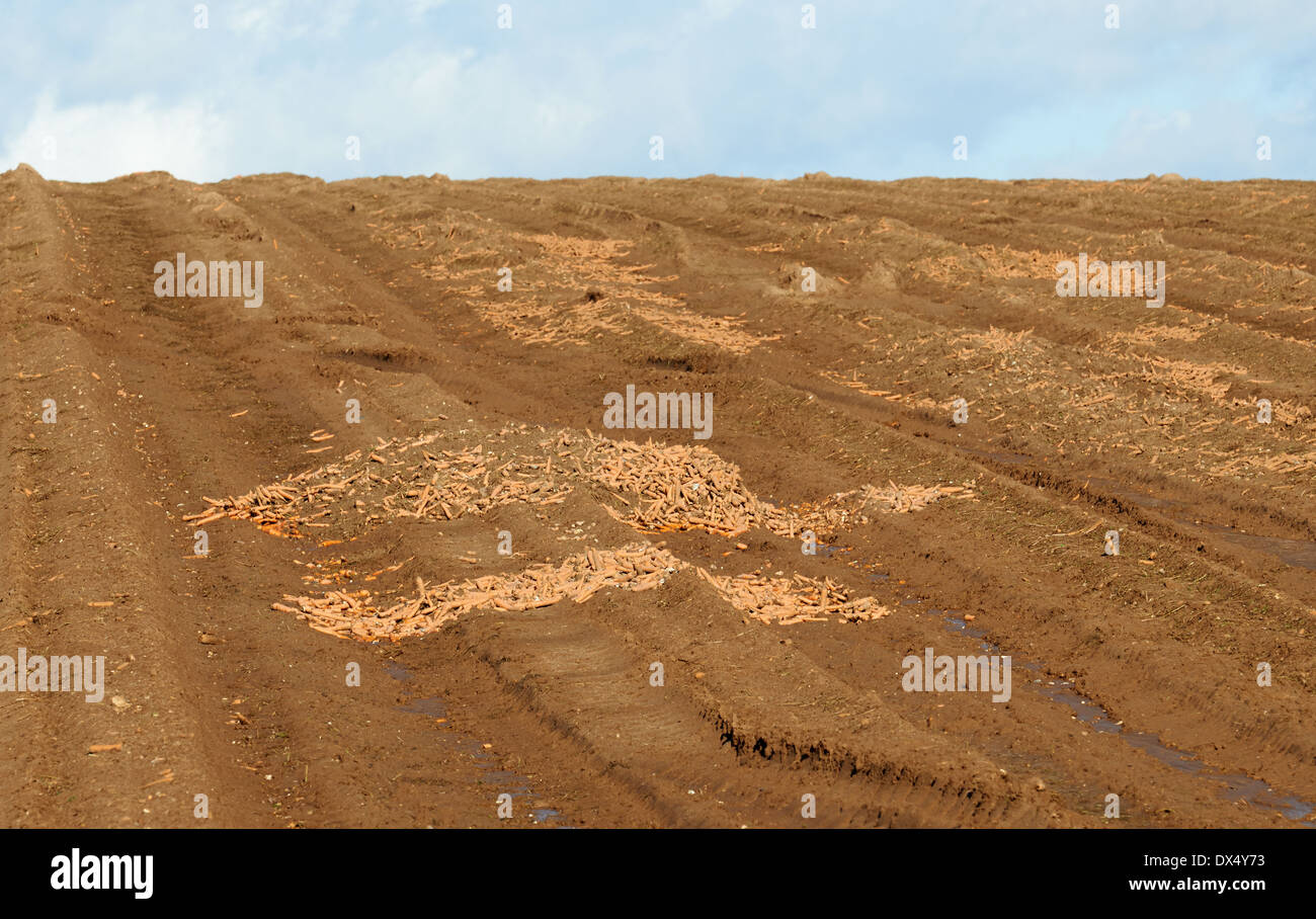 Rotting vegetables hires stock photography and images Alamy