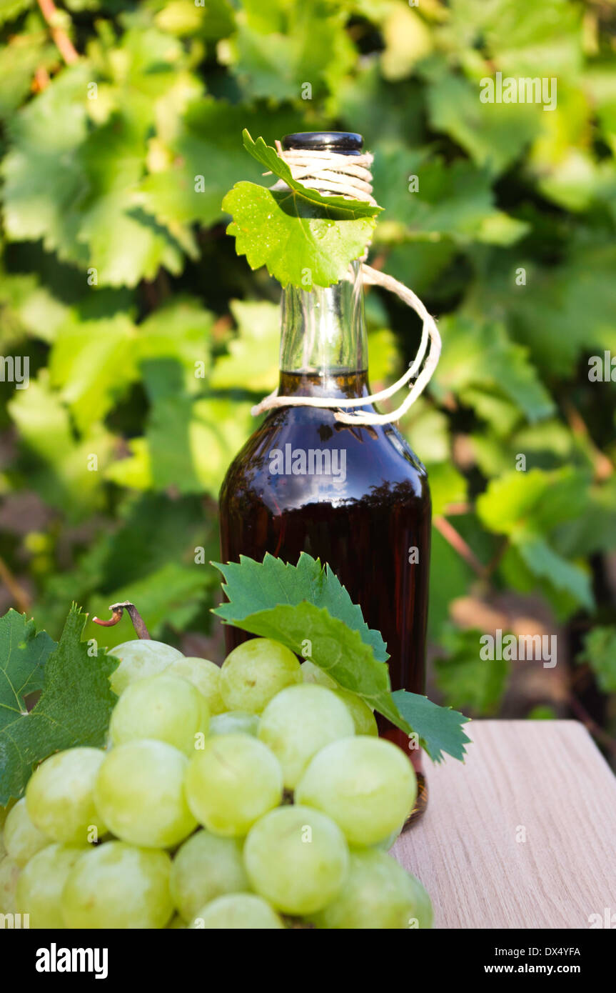 Brandy grapes cognac hires stock photography and images Alamy
