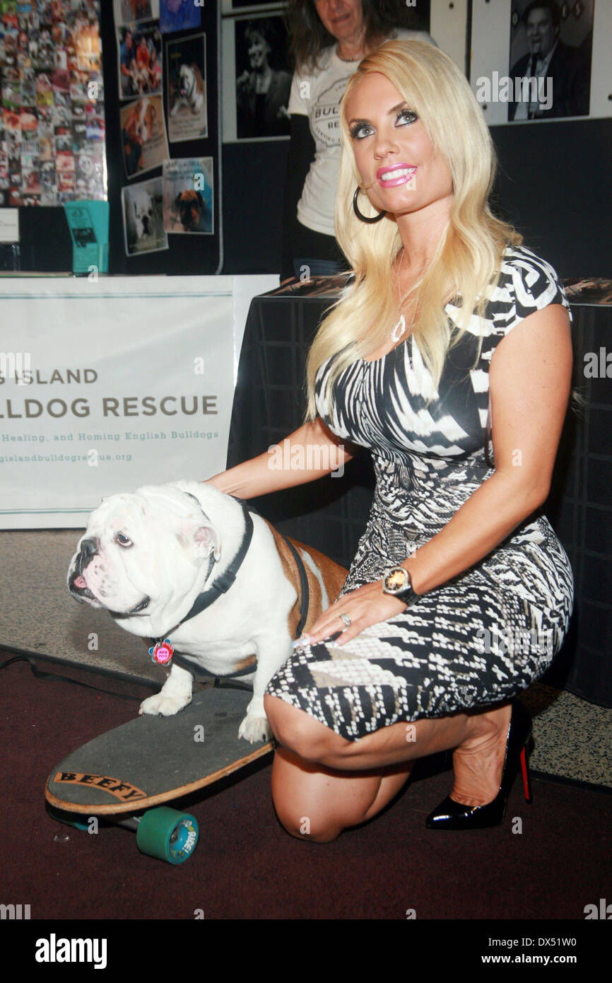 Beefy The Bulldog and Coco attend the Long Island Bulldog Rescue Fundraiser Comedy Show Featuring Ice T's Comedy Debut, Richard Belzer and Tommy Davidson Held At Carolines on Broadway. New York - USA 24.10.12 . Salters/Wenn Featuring: Beefy The Bulldog and Coco Where: United States When: 24 Oct 2012 Stock Photo
