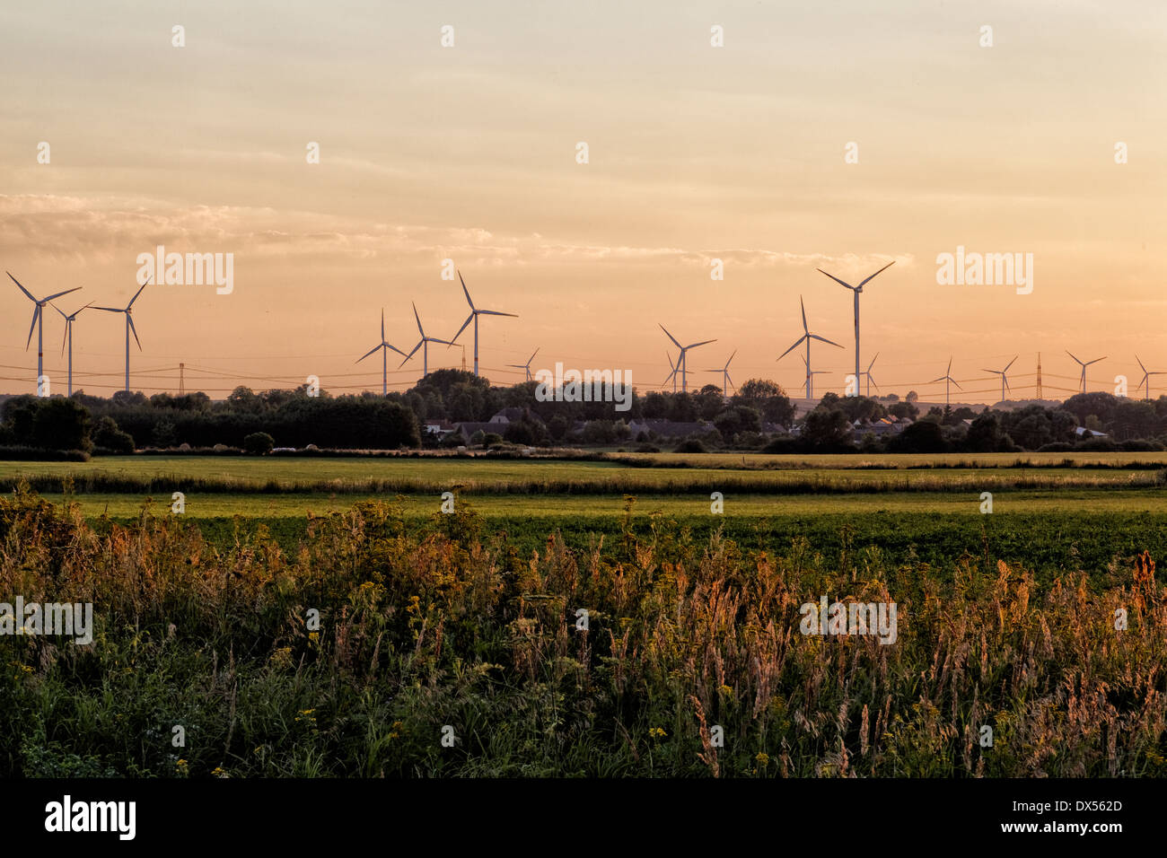 Zehdenick, Germany, windfarm at sunset Stock Photo