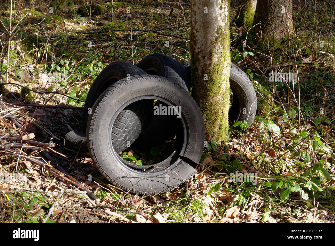 Old car tyres in a forest, Bavaria, Germany Stock Photo