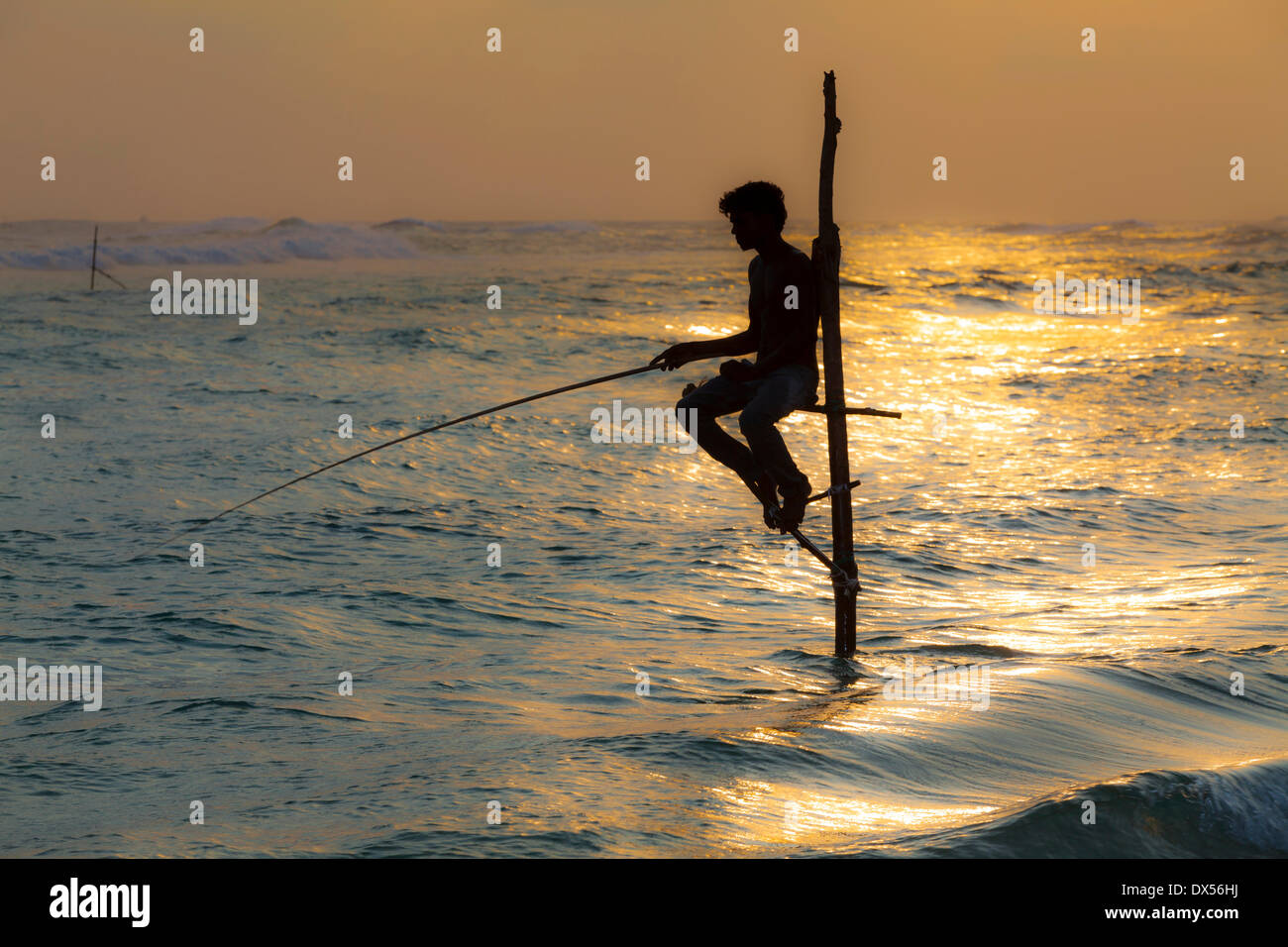 Stilt fisherman fishing in shallow water, at dusk, at Galle ...