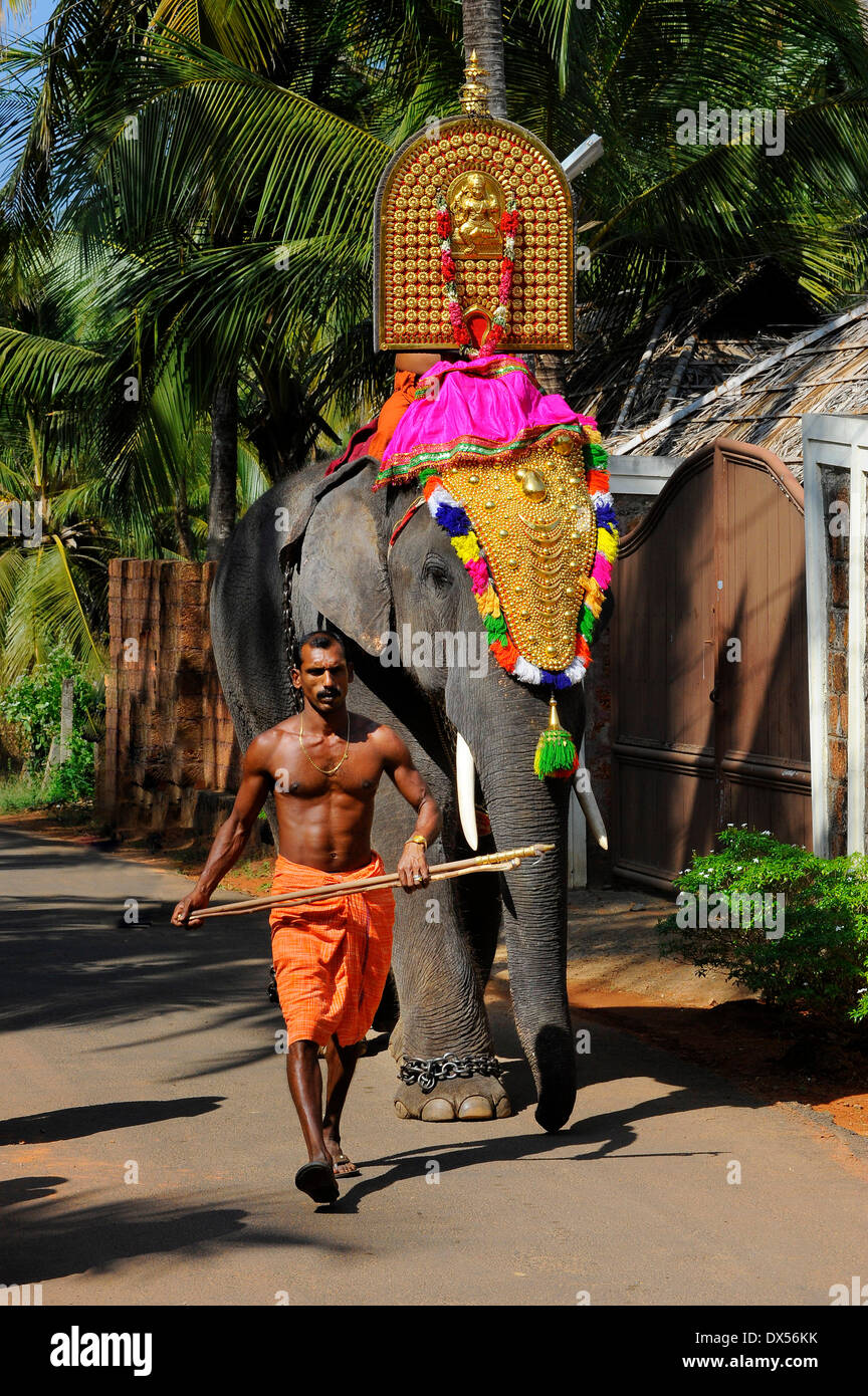 Decorated temple elephant with mahut, Thrissur, Kerala, South India, India Stock Photo