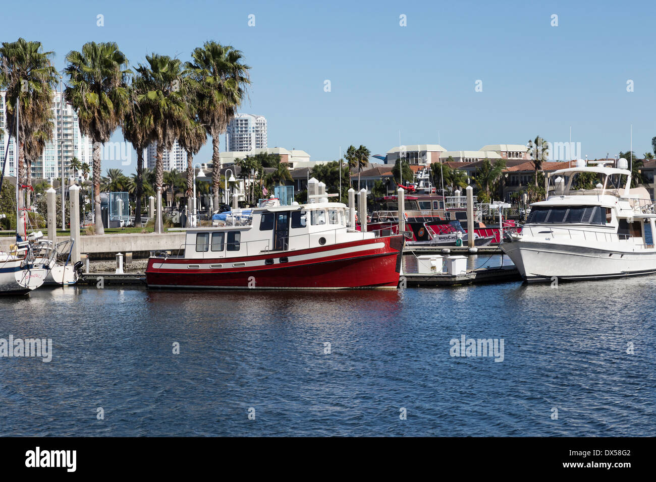 Davis island Yacht Club, Tampa Florida Stock Photo Alamy
