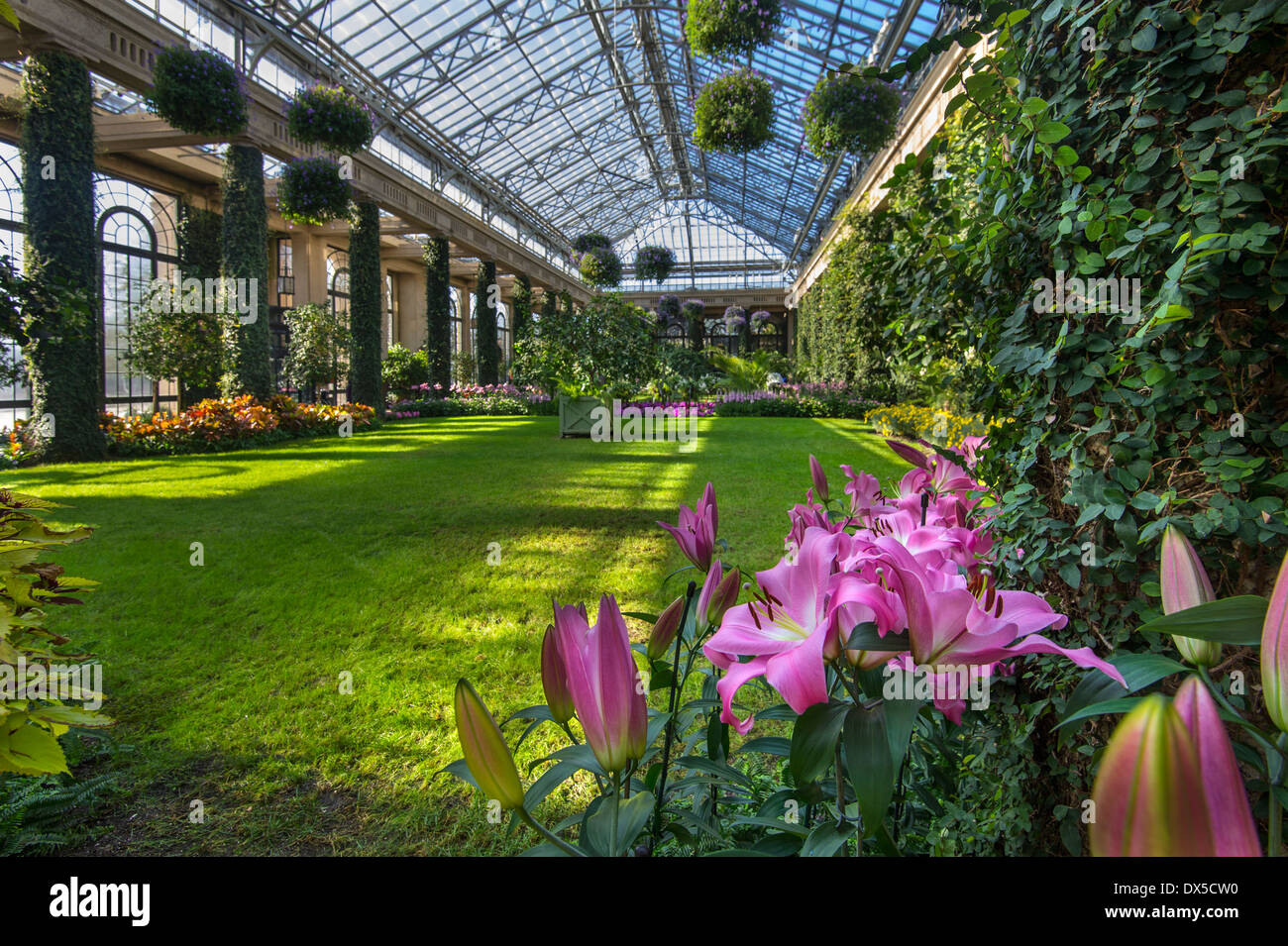 House conservatory flowers hi-res stock photography and images - Alamy