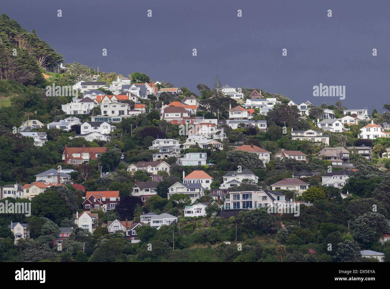 Houses on the hillside above the harbour at Wellington, New Zealand with stormy sky behind Stock Photo