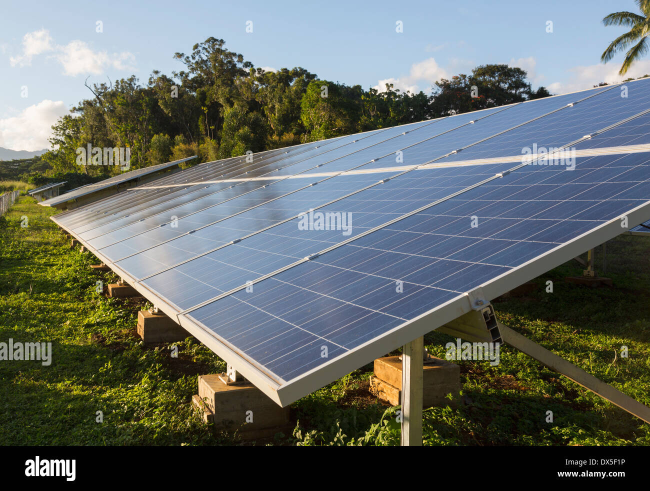 Large industrial solar power panel installation in a tropical environment - renewable energy Stock Photo