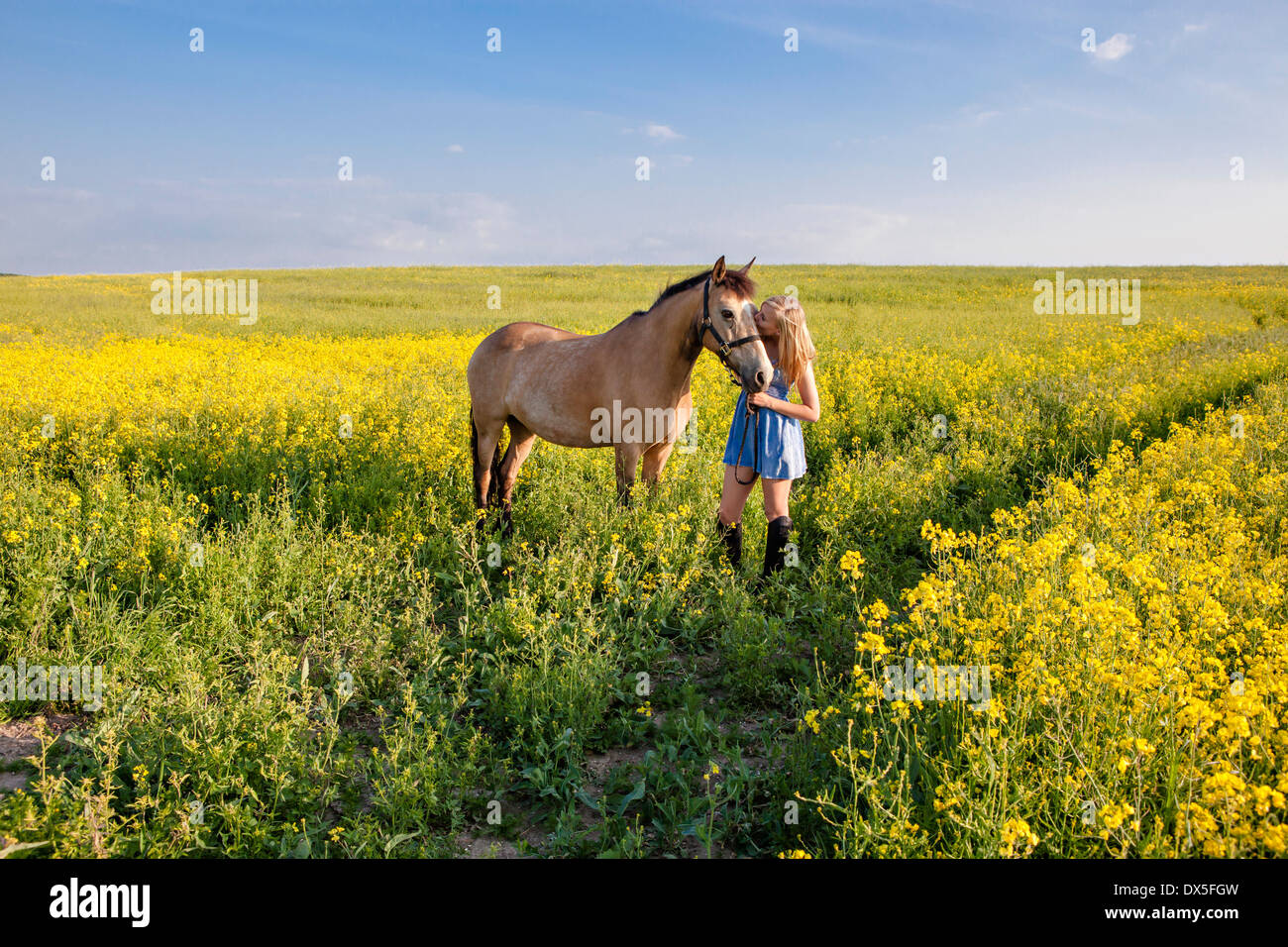 Portrait of a young girl kissing her brown horse out in a yellow rapeseed field Stock Photo
