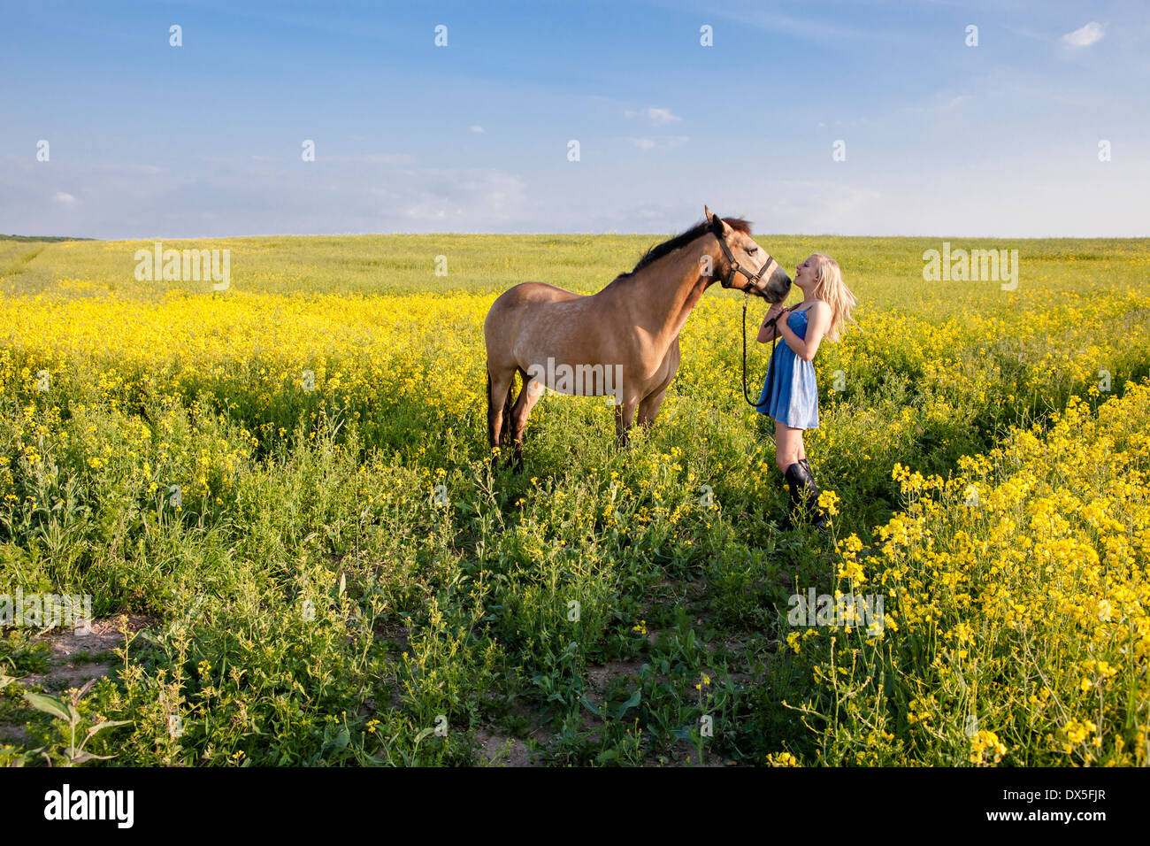 Portrait of a young girl with her brown horse out in a yellow rapeseed field Stock Photo