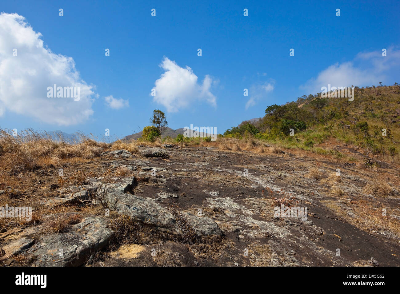 Rocky landscape of the Nilgiri hills near Kodaikanal in  Tamil, Nadu, South India Stock Photo