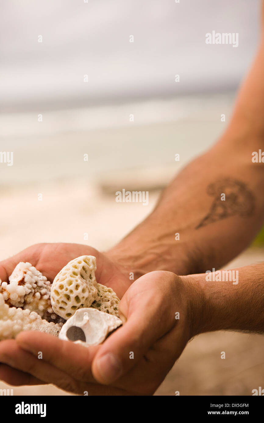 Man cupping seashells in hands, close up Stock Photo