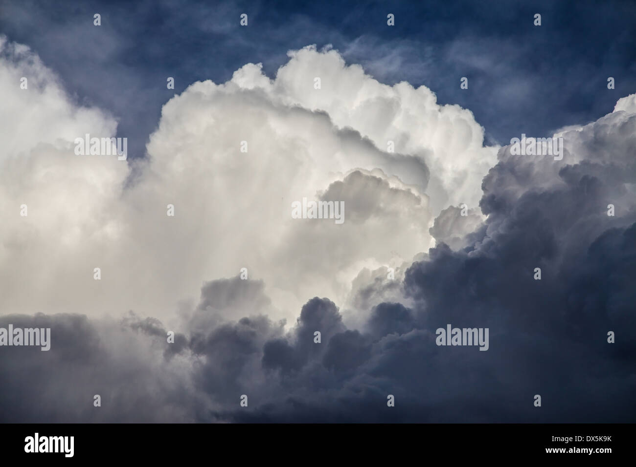 Closeup to a cumulonimbus before a storm. Stock Photo