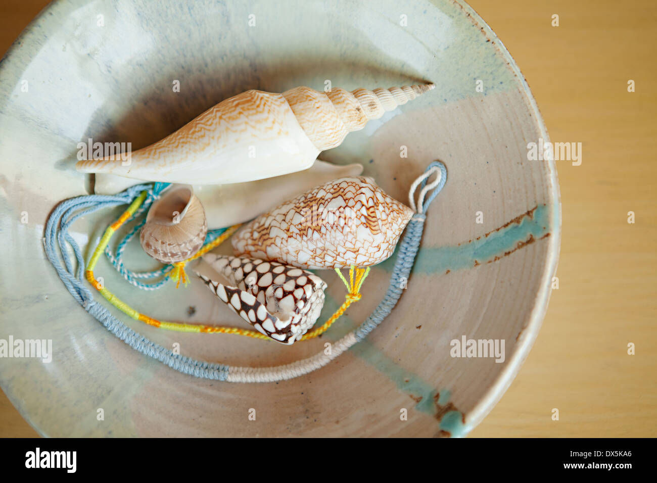 Patterned seashells in bowl, directly above, close up Stock Photo