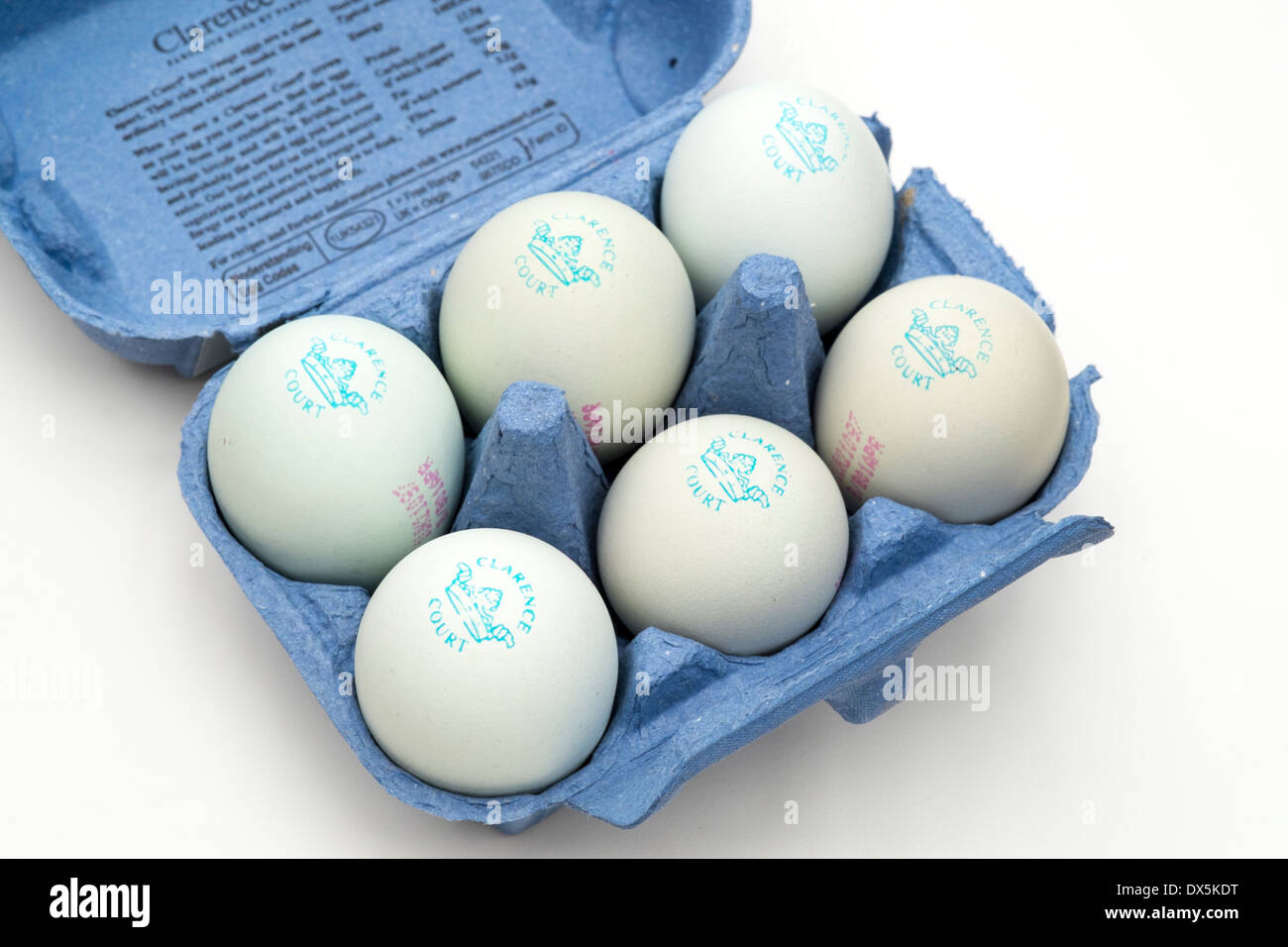 Clarence Court eggs with pastel blue coloured shells in egg box Stock