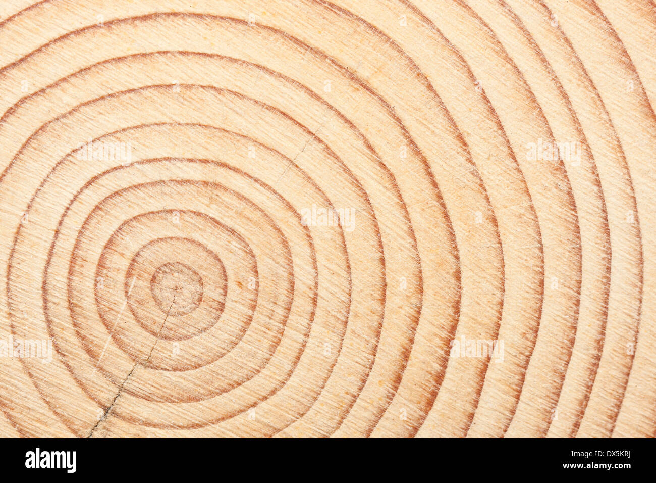 Circles of a timber beam when cross cut Stock Photo