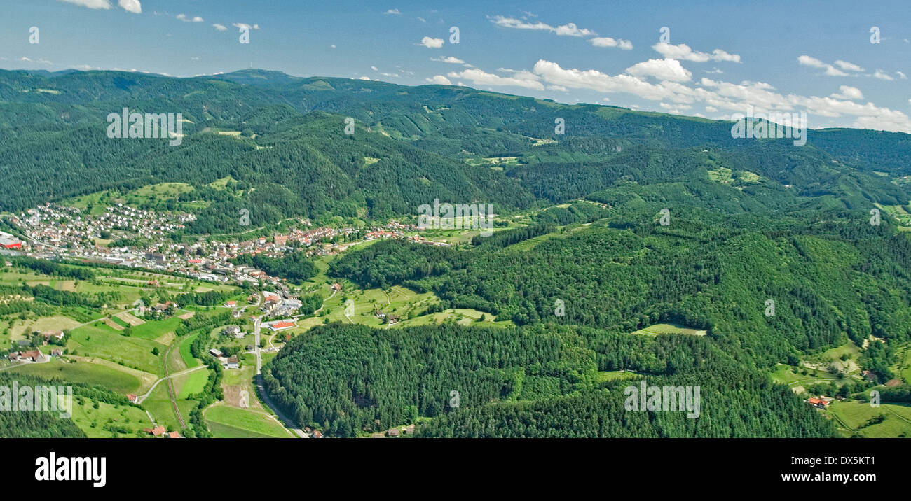 Black Forest - panorama Stock Photo