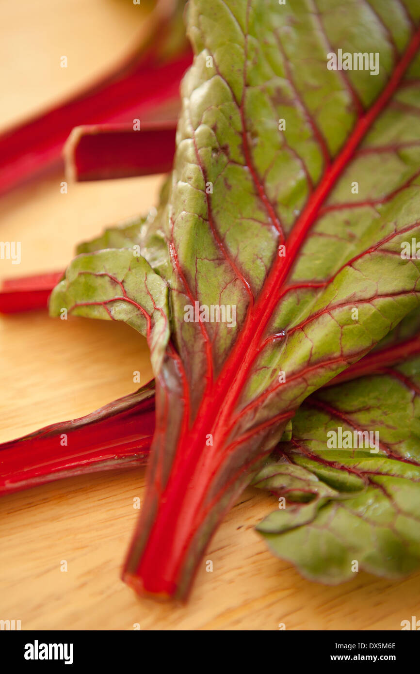 Rhubarb with red and green leaves, close up, high angle view Stock Photo