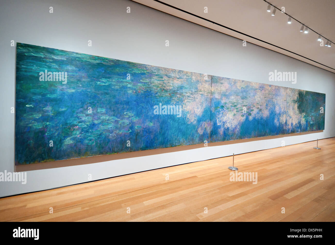 Water Lilies Claude Monet, MoMA, New York, Stock Alamy
