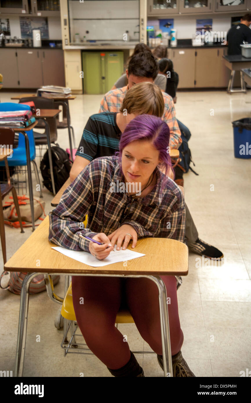 A San Clemente, CA, high school chemistry student takes a classroom quiz. Note purple hair dye. Stock Photo