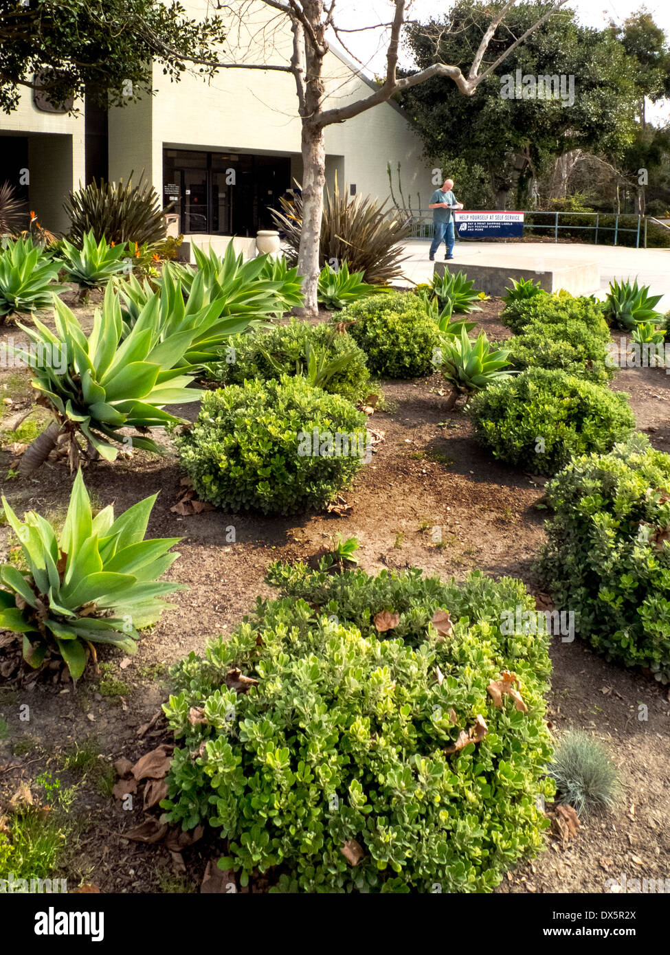 A post office in Laguna Niguel, CA, is landscaped with drought resistant plants requiring no irrigation. Note succulents. Stock Photo
