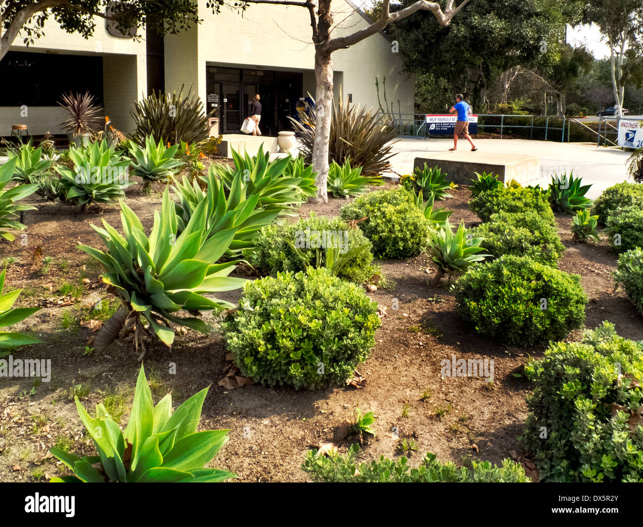 A post office in Laguna Niguel, CA, is landscaped with drought resistant plants requiring no irrigation. Note succulents. Stock Photo