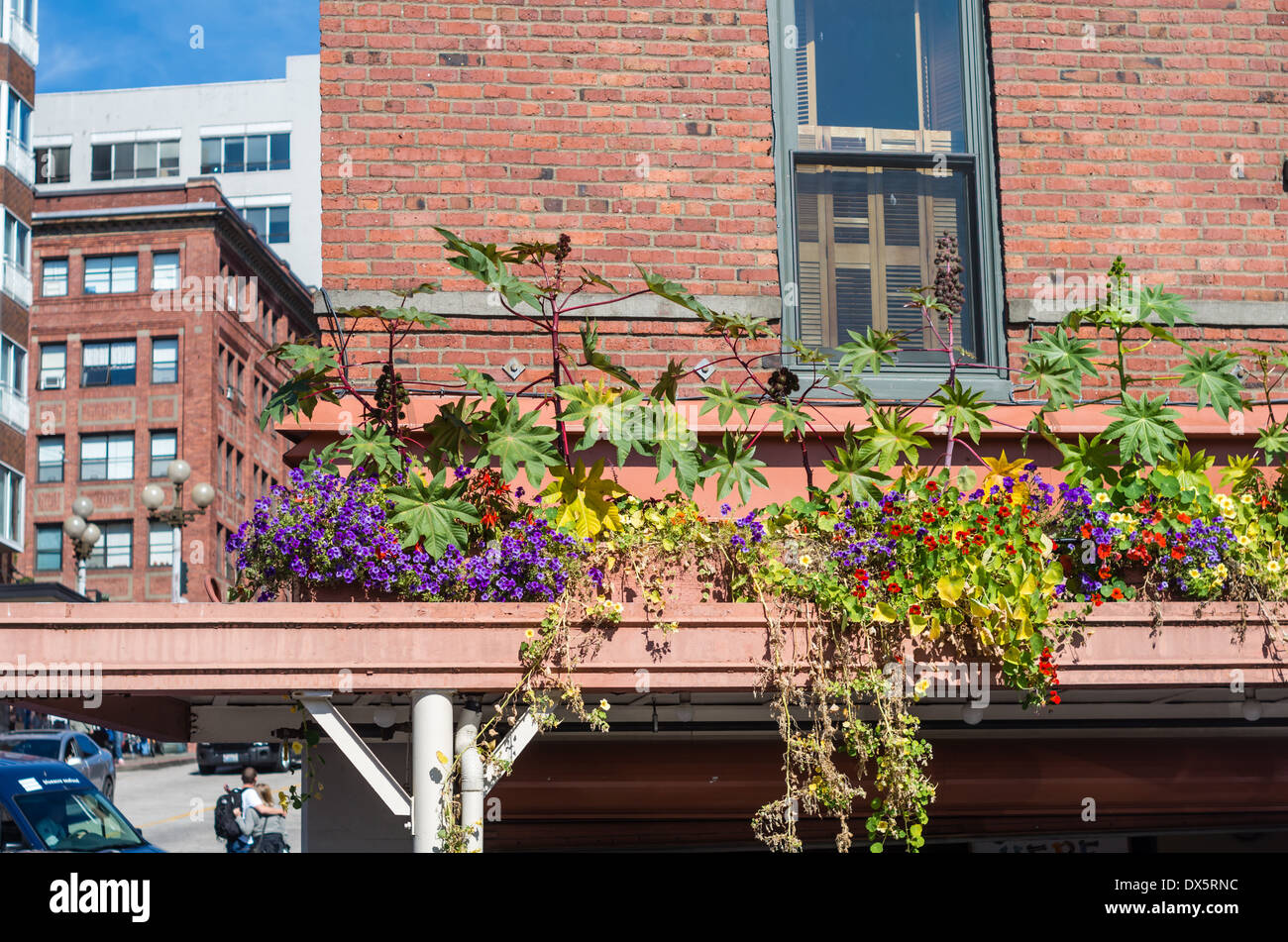 Planted roof garden. Pike Place Market, Seattle Washington Stock Photo