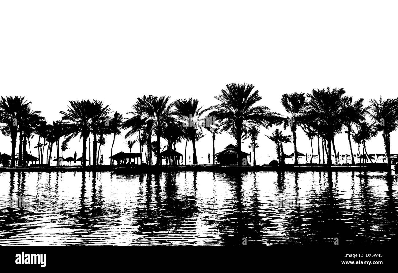 Palm tree in the beach Black and White Stock Photos & Images - Alamy