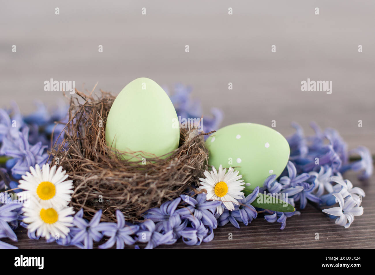 Green Easter eggs in a nest among spring flowers Stock Photo - Alamy