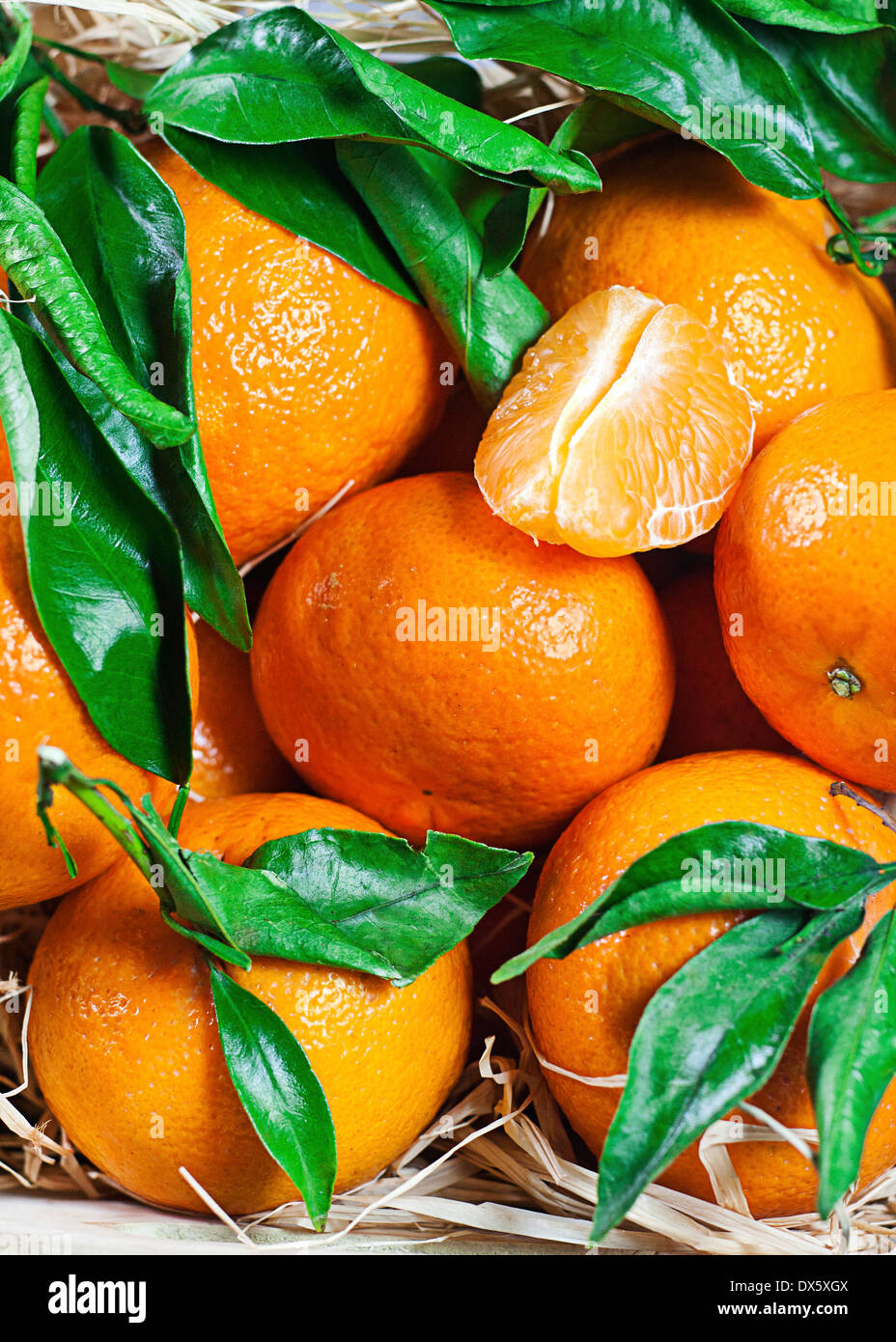 https://c8.alamy.com/comp/DX5XGX/fresh-tangerines-with-leaves-close-up-background-DX5XGX.jpg