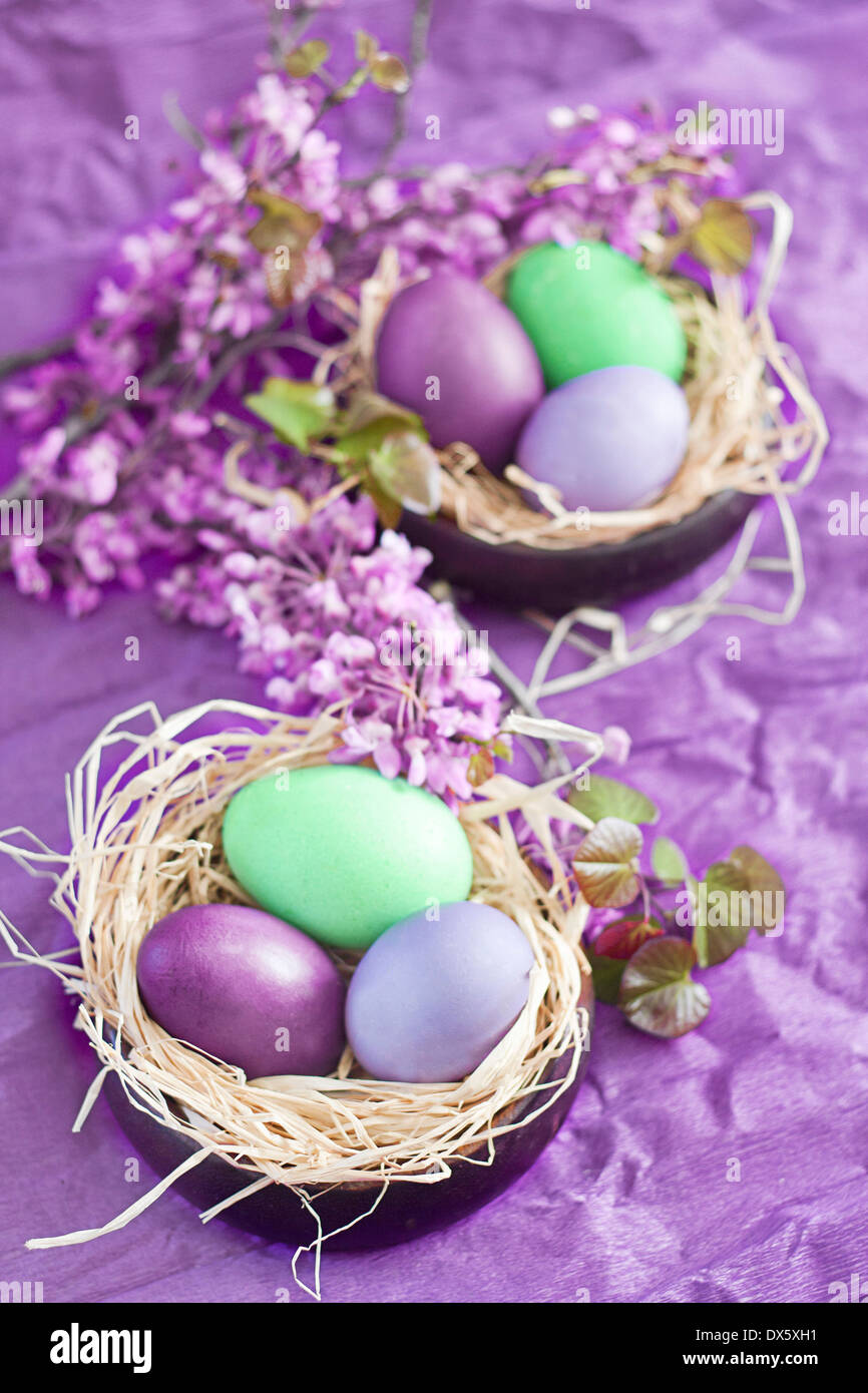 Violet, purple and green easter eggs with spring flowers Stock Photo ...
